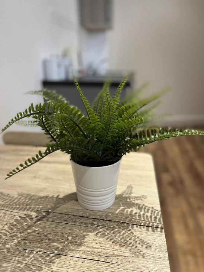 Sublime Stays Webberley Stylish Studio Stoke City Centre المظهر الخارجي الصورة